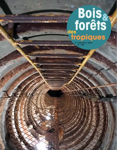 					Afficher Vol. 346 (2020): Bois et Forêts des Tropiques n°346
				