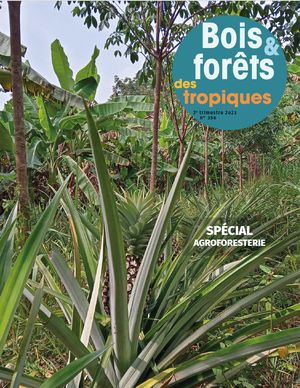 					Afficher Vol. 356 (2023): Bois et Forêts des Tropiques n°356 - Spécial Agroforesterie
				