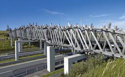 Example of outdoor application of three of the characterised species, Azobé, Okan and Tali: https://www. houtindegww.nl/project/het-wrakhout-wenduine/ "Het Wrakhout" bridge combined with a cycle path and pedestrian walkway - Welduine, Belgium. © van Wijma Kampen.