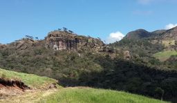 Panoramic view of the Peñas Blanca Natural Reserve. Photo N. Sepúlveda.