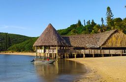 Covered dock, made with wooden poles in radiata pine (Pinus insignis) treated with CCA (Chromated Copper Arsenate), Nouméa, New Caledonia, France. Photo K. Candelier.