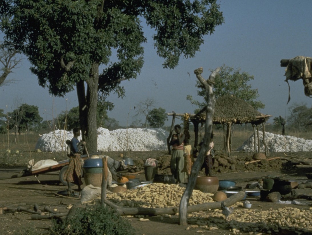 Exploitation agricole dans la région de Bobodioulasso © M. Berger, Cirad