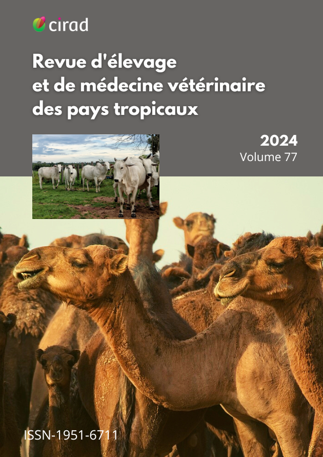 cover vol.77 (2024) with camels and zebus (© R.Poccard-Chapuis)