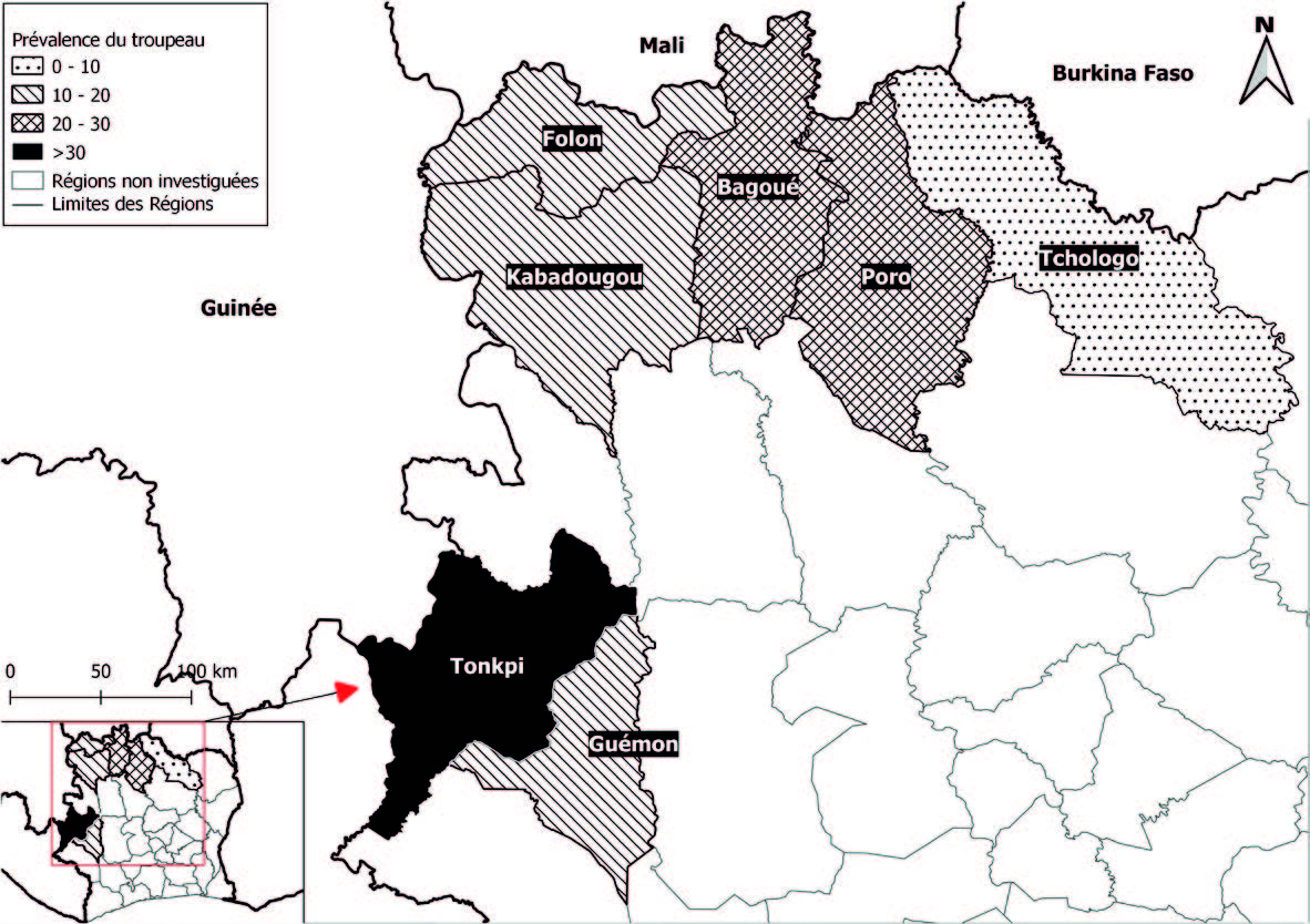 Distribution spatiale du niveau d’infection de la brucellose dans les troupeaux sédentaires de bovins des zones de transhumance au nord et à l’ouest de la Côte d’Ivoire