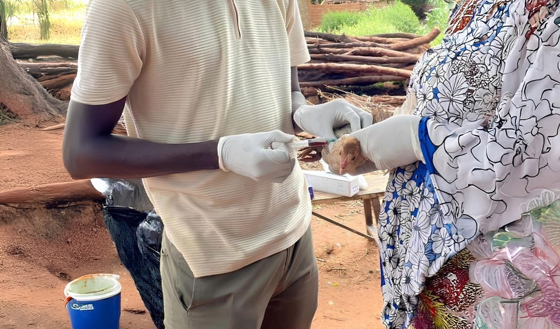 Blood collection©A. Ouedraogo